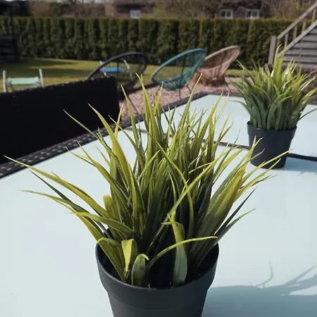 5 Sterne Duenensand * ורדום