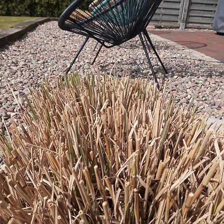 شقة 5 Sterne Duenensand *