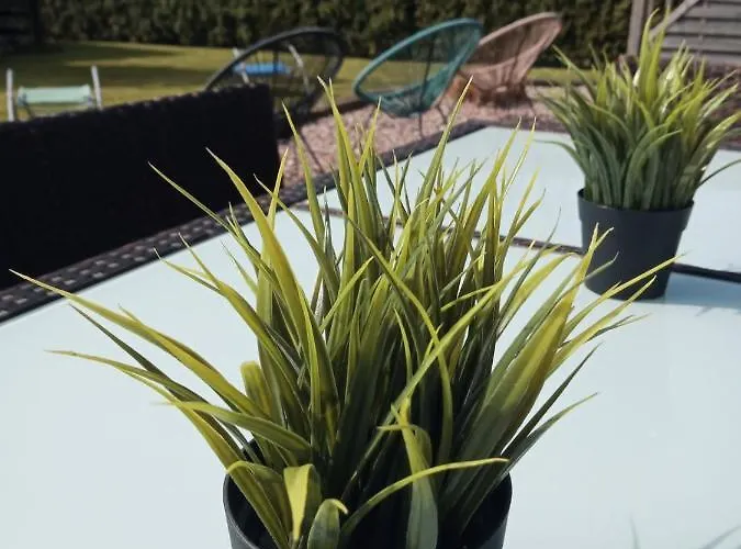 5 Sterne Duenensand * Werdum