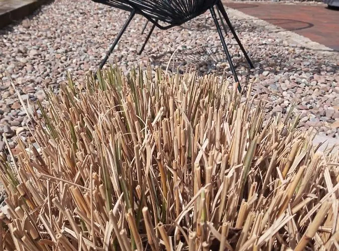 Apartament 5 Sterne Duenensand *